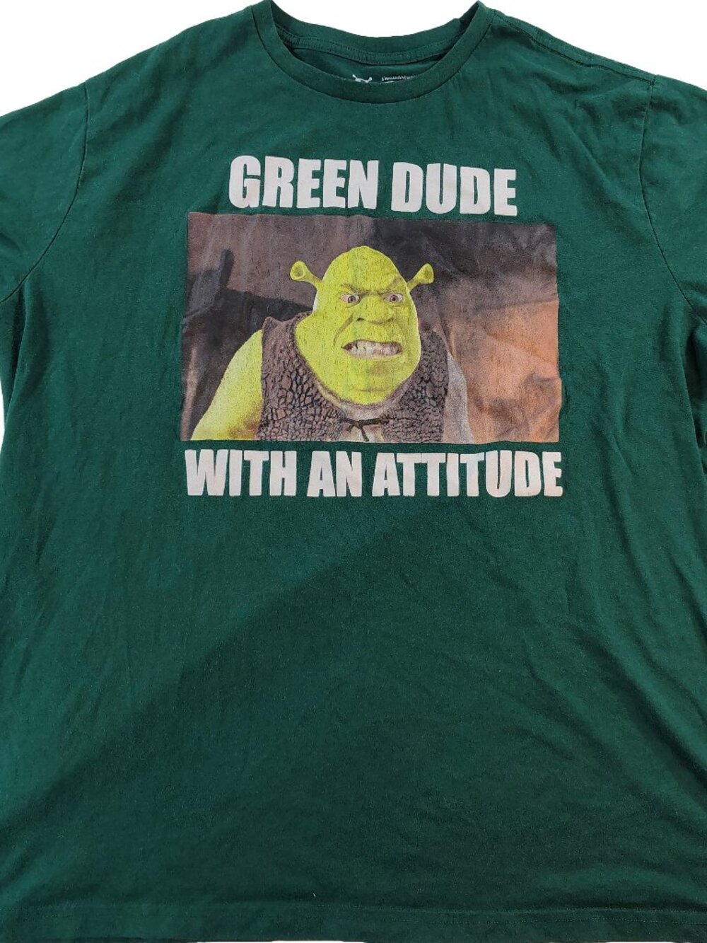 Men's XXL Green Dreamworks Shrek Themed Green Dude WIth An Attitude T-Shirt